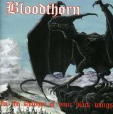 In The Shadow Of Your Black Wings