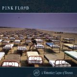 A Momentary Lapse Of Reason