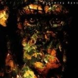 Dreaming Apes